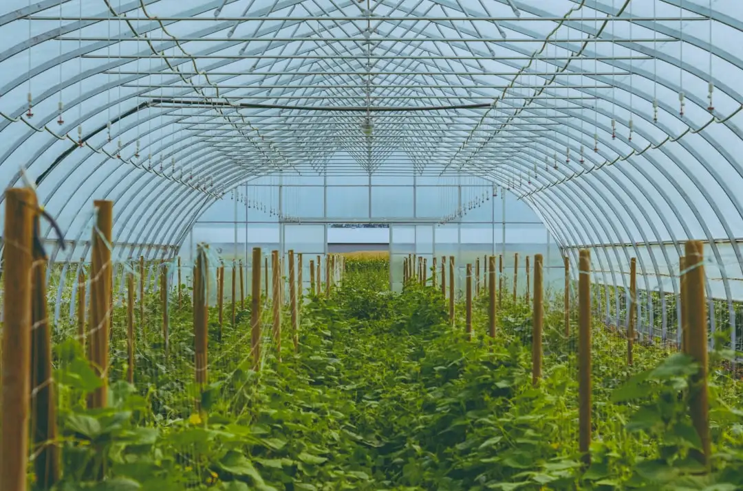 访客管理软件与隐患上报系统集成应用的技术路径分析