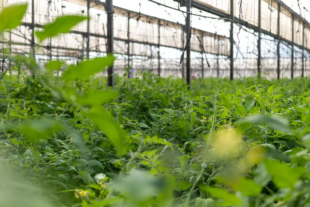 访客管理软件与隐患上报系统的数据协同技术解析