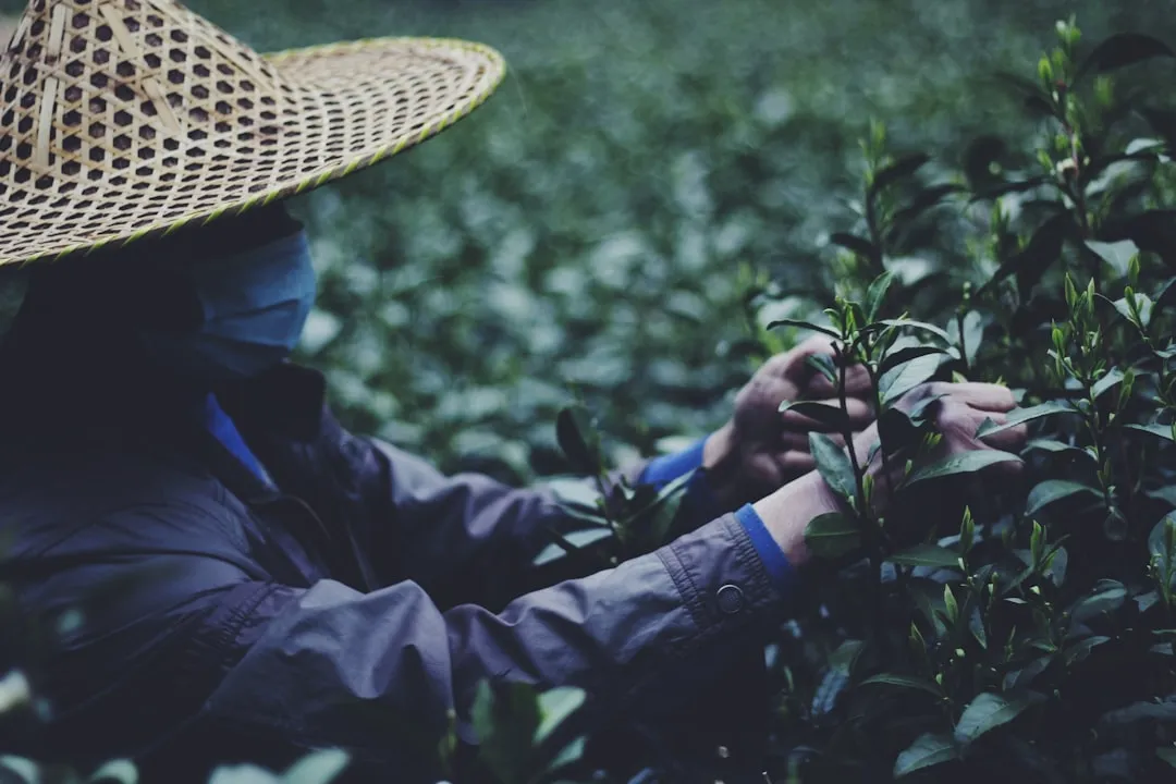 校园安全管理系统软件光盘与访客管理软件一体化部署方案